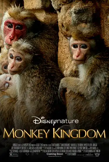 Disneynature Monkey Kingdom (2015) อาณาจักรลิง จากป่าไม้สู่ป่าเมือง (ซับไทย)